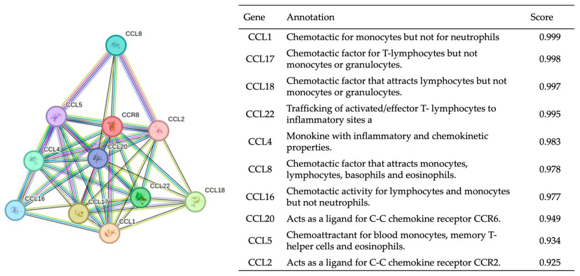 Fig. 1:Protein–protein interaction with CCR8.