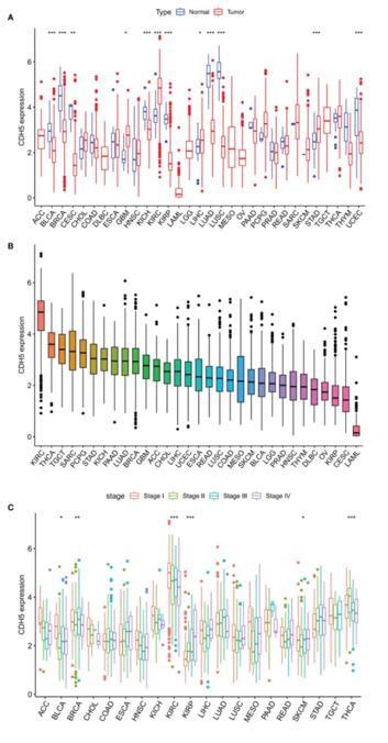 Fig. 1 Differential expression analysis of CDH5 in TCGA pan-cancer. (OA Literature)