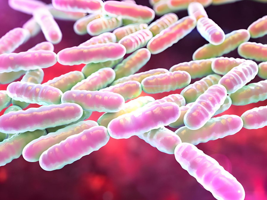 Cell Biology Research