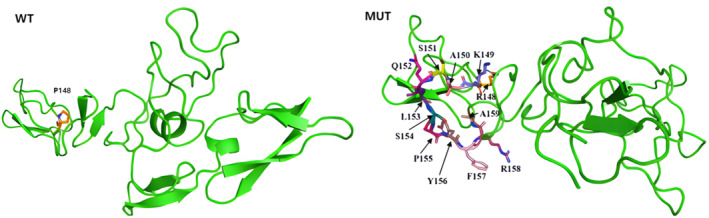Fig. 1:3D structure prediction of FBN1.
