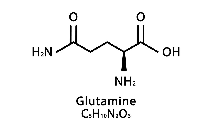 Glutamine. (Creative Biolabs Authorized)