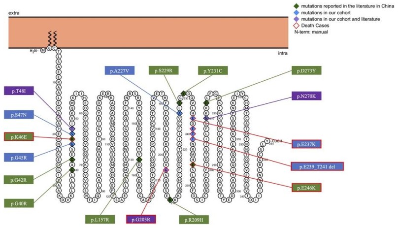Predicted Topology and Distribution of GNAO1 Variants.