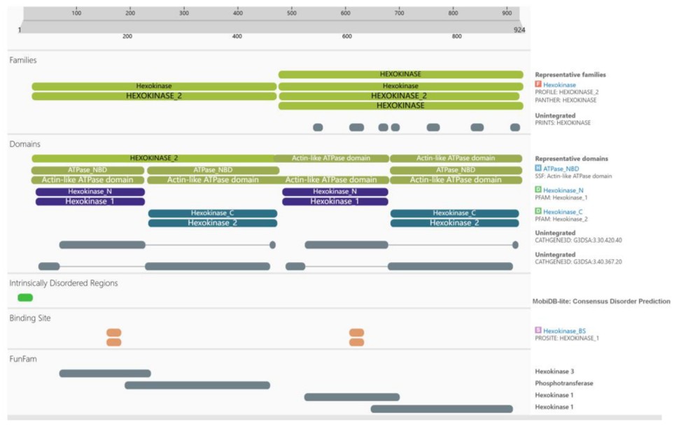 Predicted protein domains and functional sites of HK3 from InterPro analysis.