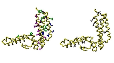 Fig. 1:Mapping the interaction surface on HscB.