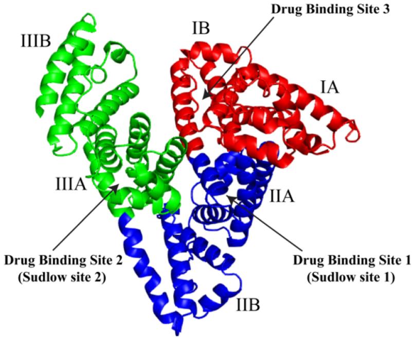 Fig. 1:Human serum albumin domain organization.