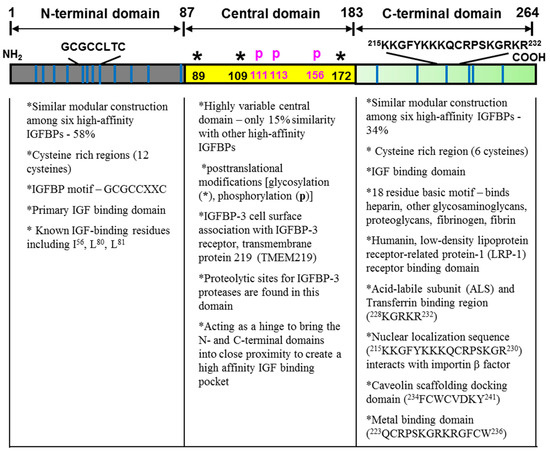 Structure of the mature human IGFBP-3.