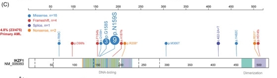 Fig. 1:Structure and mutation spectrum of IKZF1 in AML.