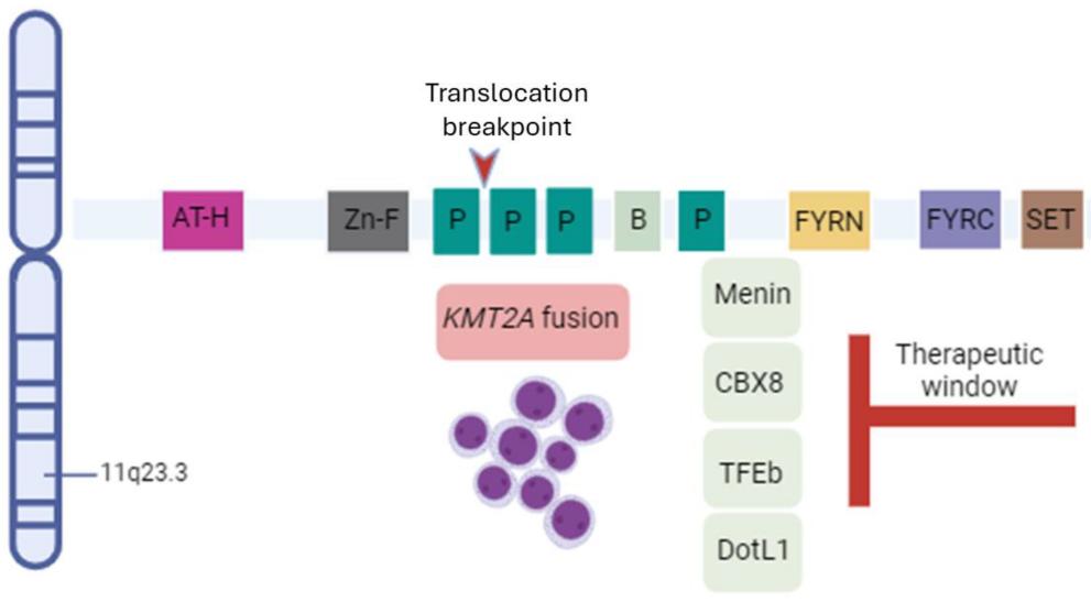 Fig. 1:Schematic representation of KTM2A gene structure and cofactors.