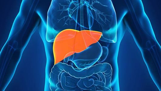 Liver Cancer Overview - Signaling Pathway