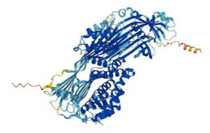 Fig. 1 The 3D protein structure of MTTP. (OA Literature)