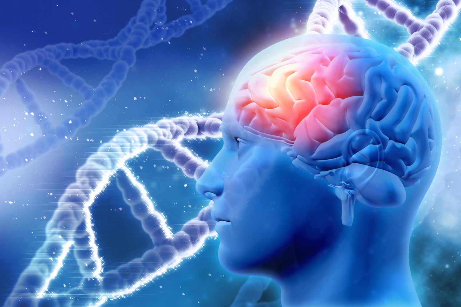 Neuroscience Research