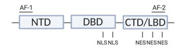 Fig. 1 Structural domains of Nr4a2.