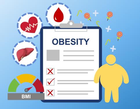 Obesity Overview - Signaling Pathway