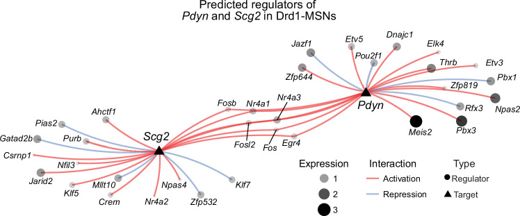 Fig. 1:Predicted regulators of Pdyn and Scg2 in Drd1-MSNs.