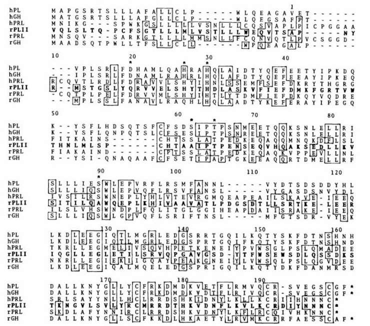 Fig. 1:Comparison of amino acid sequences of the PRL/GH/PL family members from human and rat.