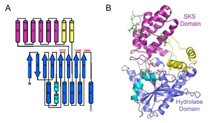 Fig. 1 The structure of PRCP (OA Literature)