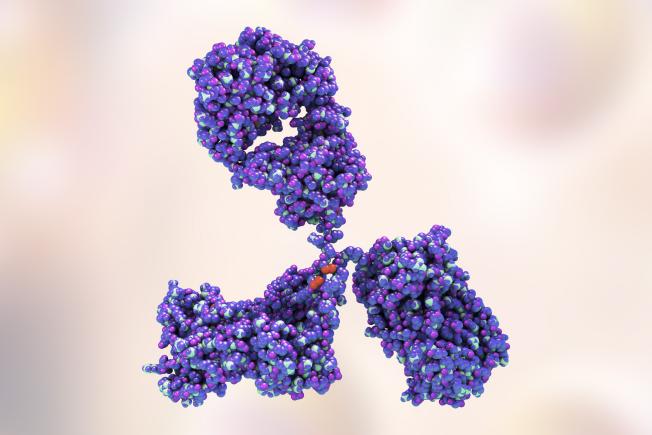 Monoclonal Antibodies
