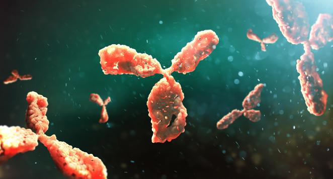 Polyclonal Antibodies