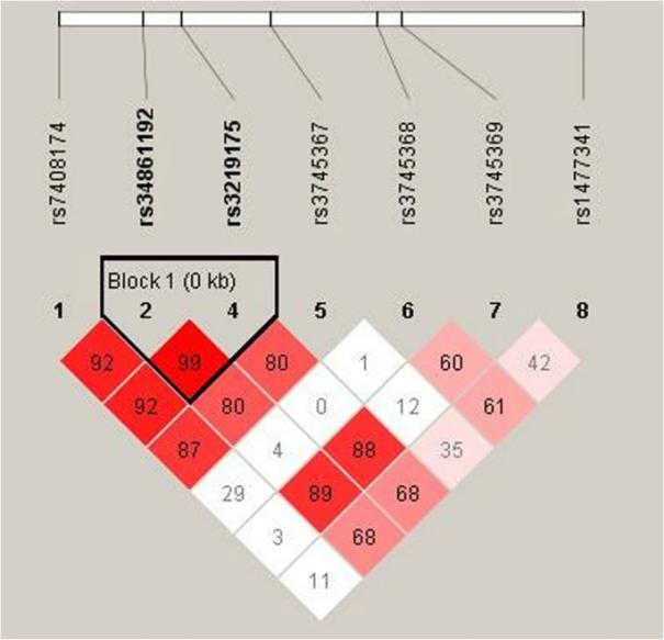 Fig. 1:Haplotype block map for the eight SNPs in the RETN gene.
