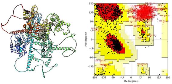 Fig. 1 Procheck-RAMACHANDRAN plot of the native SCN9A predicted model.