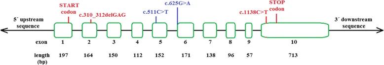 Fig. 1:Changes in the structure of ACADS