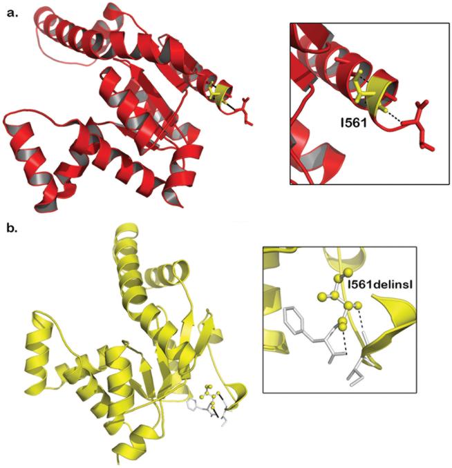 Fig. 1:Changes in the structure of AK5