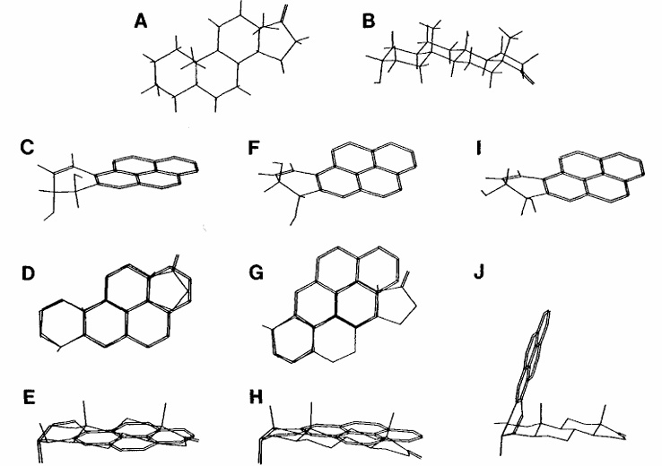 Fig. 1:Changes in the structure of DHDH