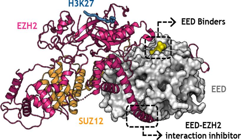 Fig. 1:Changes in the structure of EED