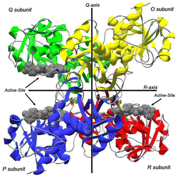 Fig. 1:GAPDH Structure.