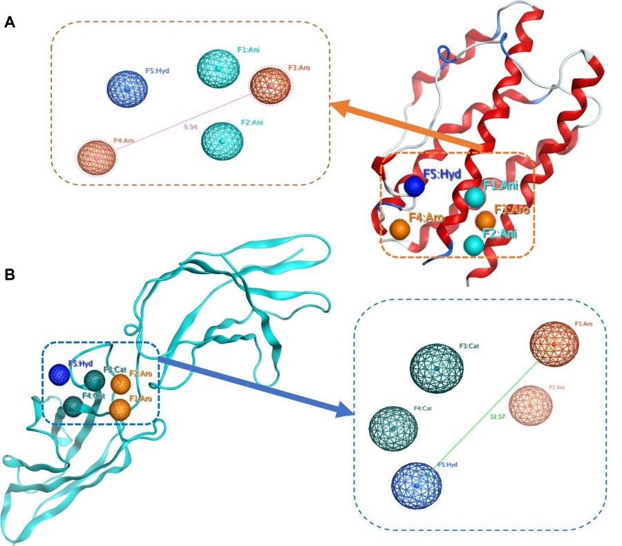 Fig. 1:Changes in the structure of IL6
