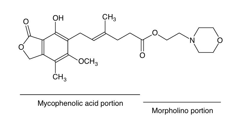 Fig. 1:Changes in the structure of MMF