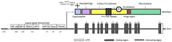 Fig. 1:Changes in the structure of MMP9. (OA Literature)