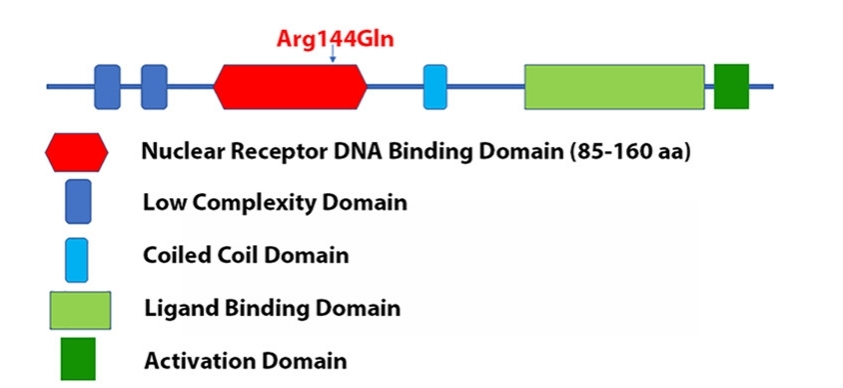 Fig. 1:Changes in the structure of RARB
