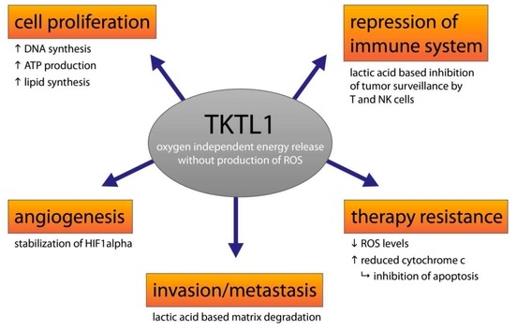 Fig. 1 Role of TKTL1 in cancer cells.