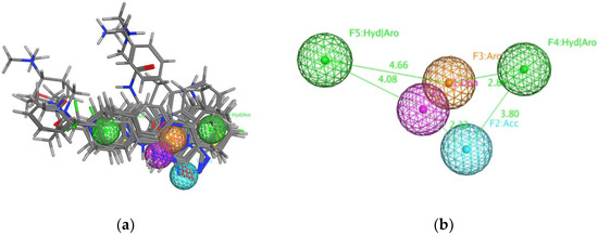 Fig. 1:The defined pharmacophore model of TNKS protein.