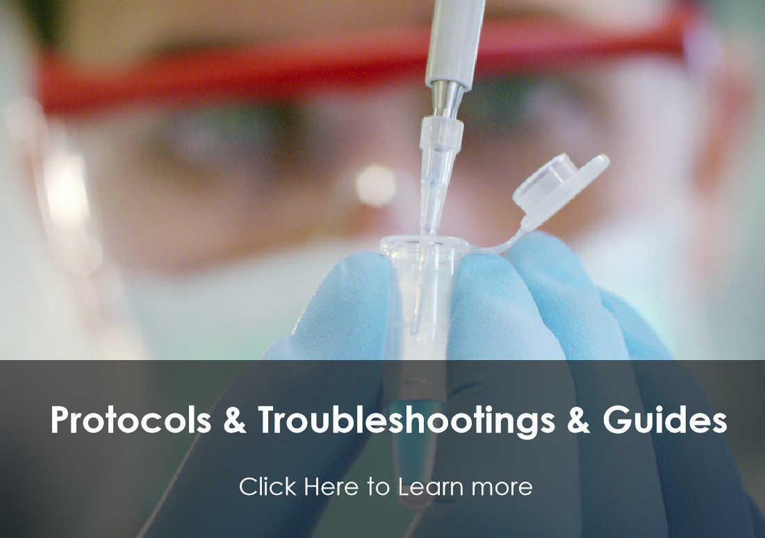Fig.4 Protocols troubleshootings & guides. (Creative Biolabs Authorized)