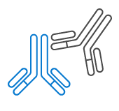 Second Antibodies & Isotype Controls