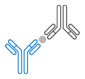 Antibody Pairs