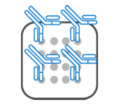 Antibody Array