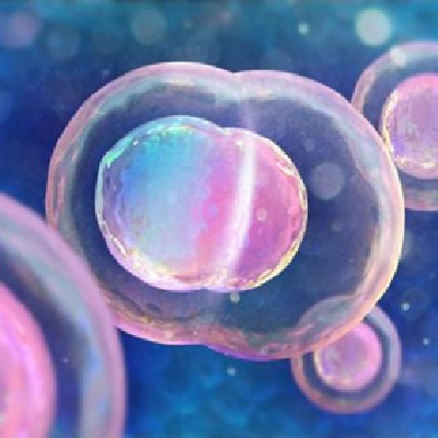 Cell & Organelle Imaging