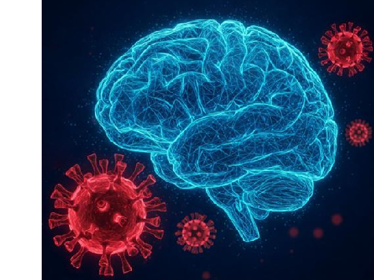 HSV-1 infection in Alzheimer's Disease. (From AI)