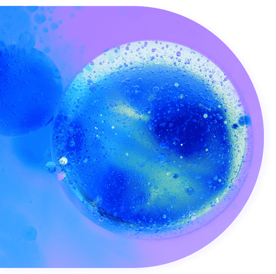 ferroptosis-1. (Creative Biolabs Authorized)