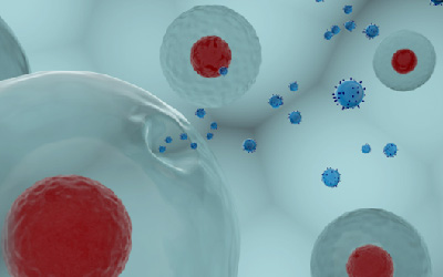 Apoptosis and Cell Viability