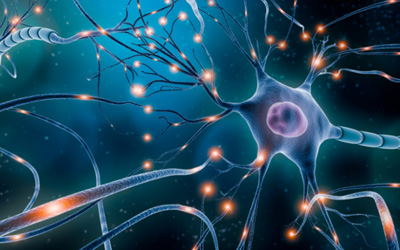 Neuroscience Research